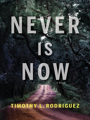 cover image of Never is Now